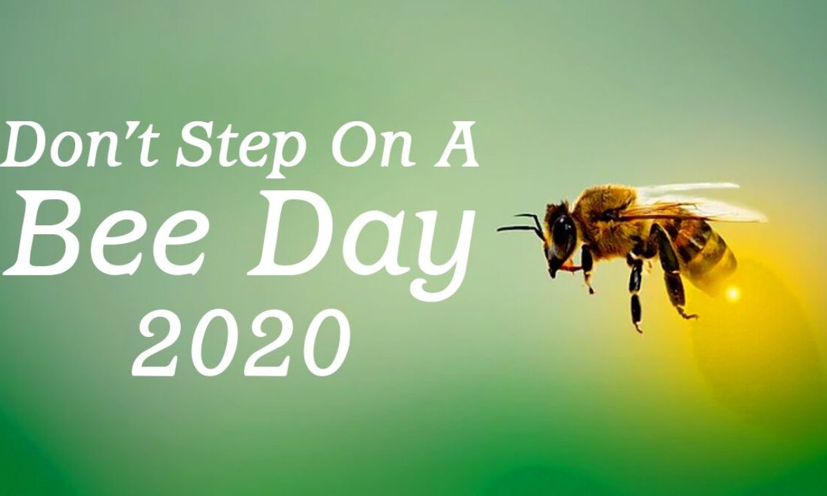 Don T Step On A Bee Day 21 Date And Significance Know About The Day That Promotes Protection Of Bees