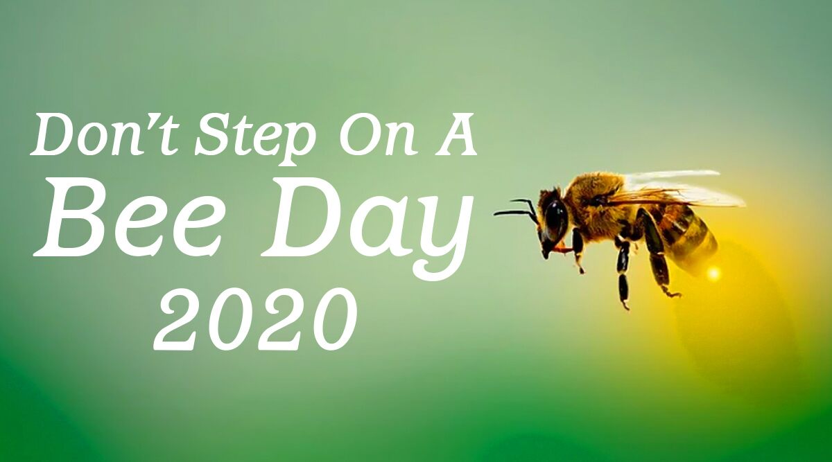 Don't Step on a Bee Day 2021 Date And Significance Know About the Day