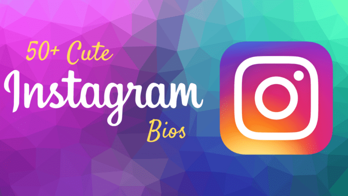 50+ Cute Instagram Bios | Short and Simple Quotes for Instagram Bios