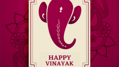 Happy Vinayak Chaturthi 2021: WhatsApp Status Video Download