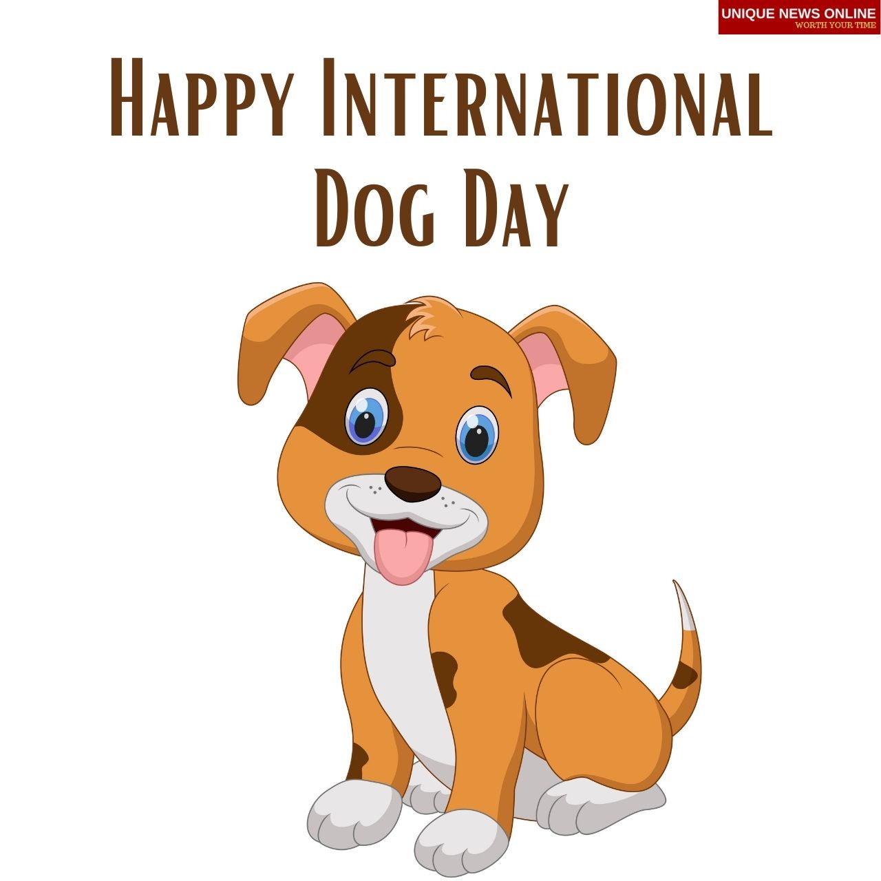 Happy International Dog Day 2024 Election Raye Mildred