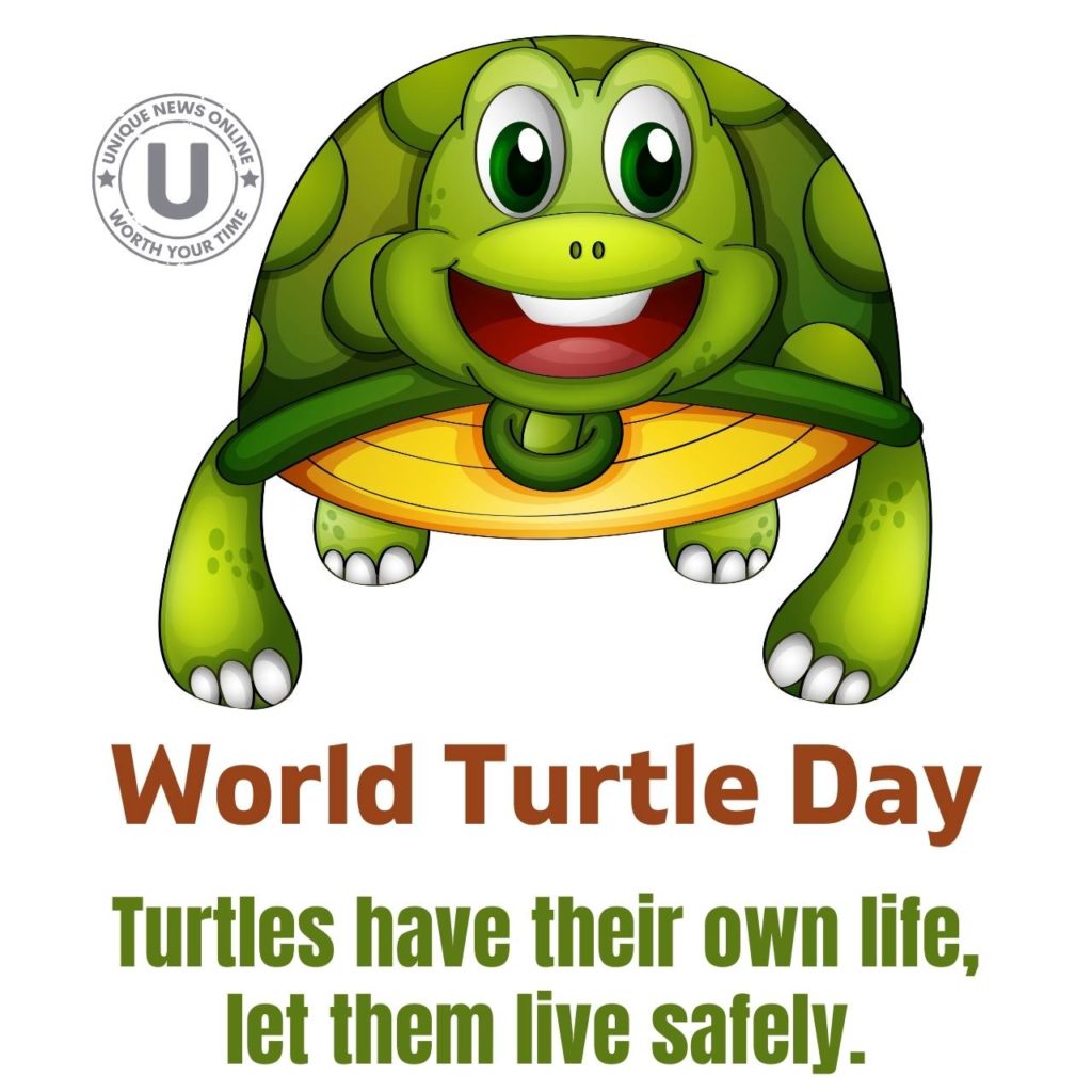 World Turtle Day 2022 Best Quotes, Posters, Images, and Messages to