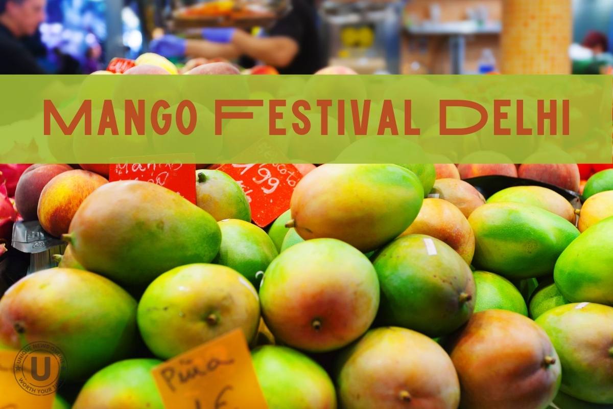 delhi tourism mango festival