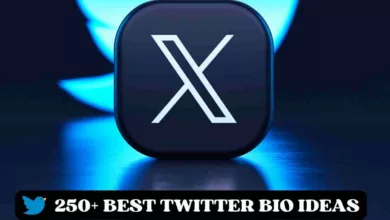 💙250+ Twitter Bio Ideas With Emoji: Best Bio for Twitter
