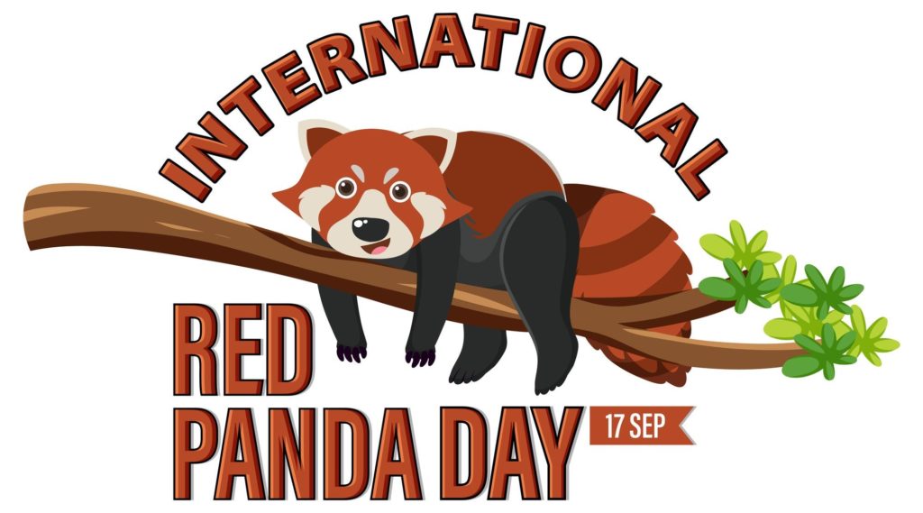 International Red Panda Day 2022 Theme Slogans, Quotes, Images