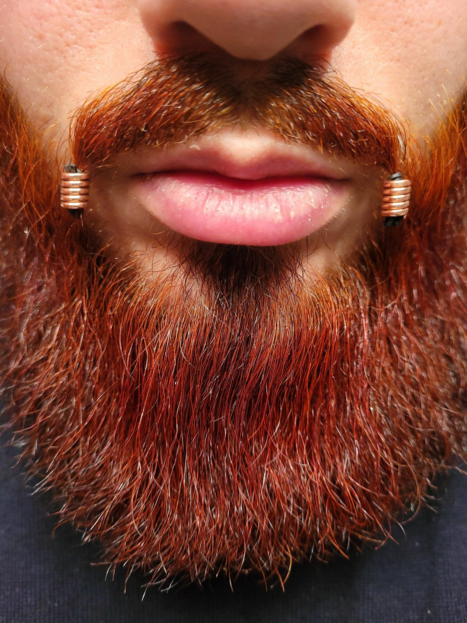 Viking Beard Red Hair