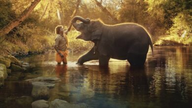 Oscars 2023: "The Elephant Whisperers" Won Best Documentary Short Film Award, Creates History For India