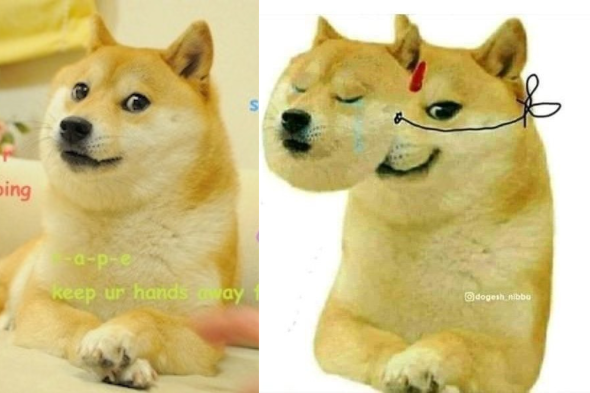 Doge died has