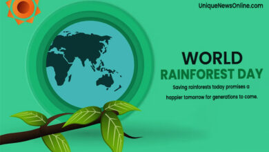 World Rainforest Day 2024 Theme, Quotes, Images, Slogans, Messages, Wishes, Greetings, Cliparts and Instagram Captions