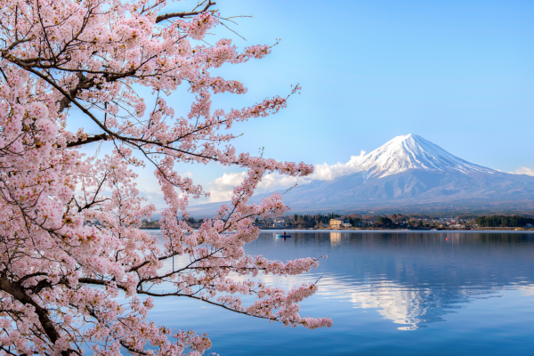 Exploring the Wonders of Japan: A Journey Through Tradition and Modernity
