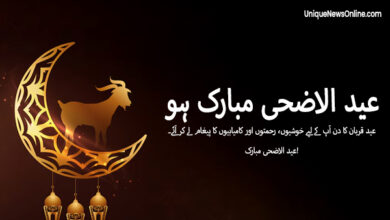 Eid Ul-Adha 2025 Wishes in Urdu; Quotes, Greetings, Images, Messages, Posters, Banners and Instagram Captions